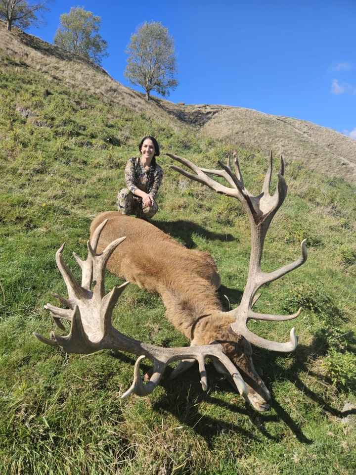 Hunting red Stag in New Zealand - Hunting Rates and Prices